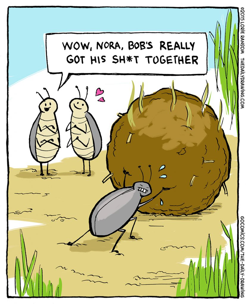 The Daily Drawing - Dung Beetles