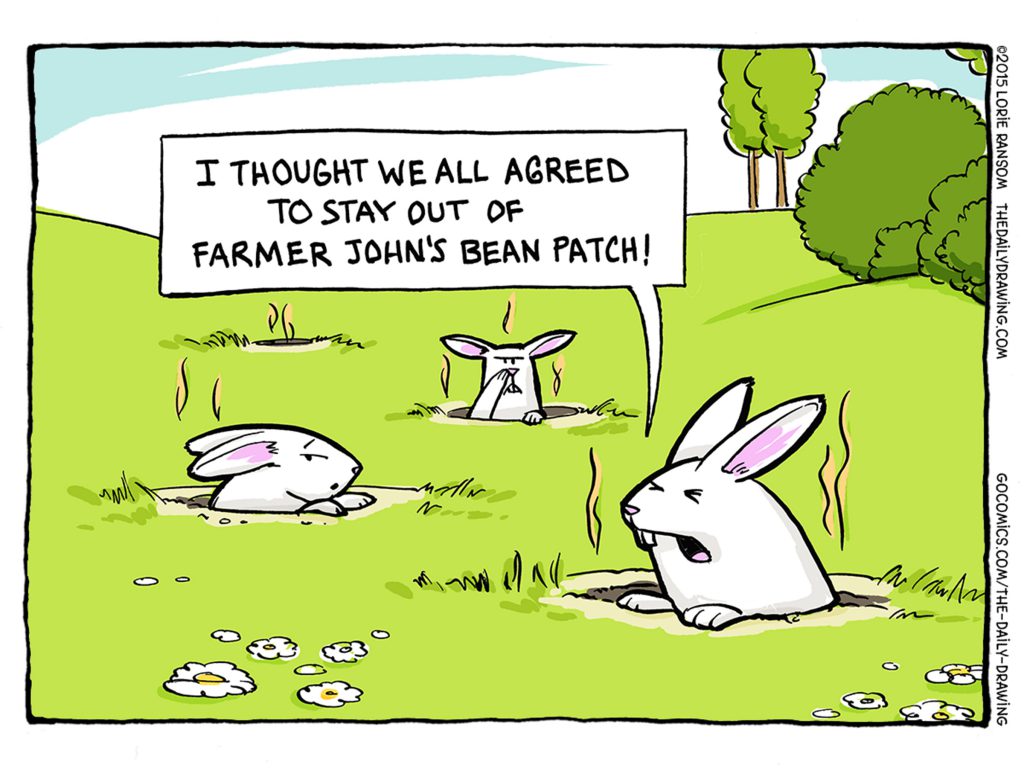 The Daily Drawing - Bean Patch