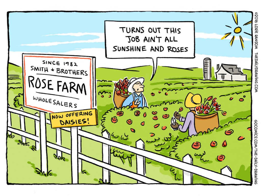 The Daily Drawing - Rose Farm