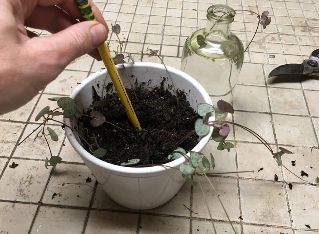 Making holes in soil