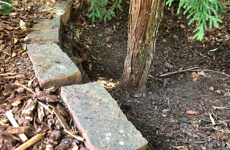 Image of mulch piled next to a stack of bricks uphill from a tree trunk.