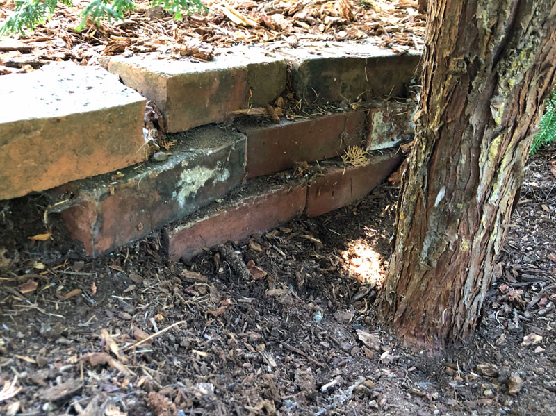 Image of a small tree trunk next to a stack of bricks.